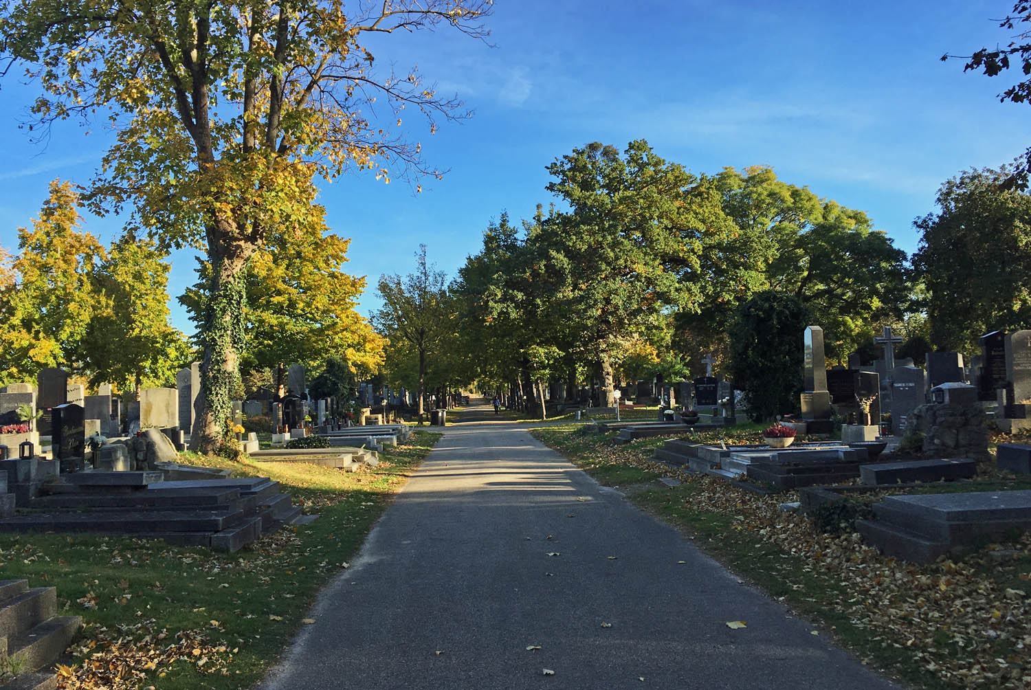 Ein Spaziergang über Den Wiener Zentralfriedhof - Christine Unterwegs