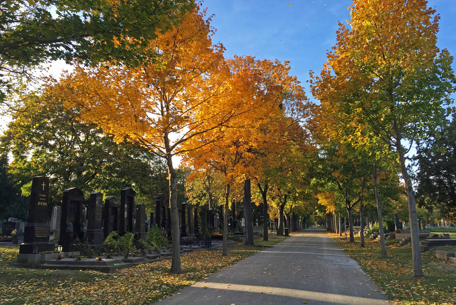 Ein Spaziergang über Den Wiener Zentralfriedhof - Christine Unterwegs